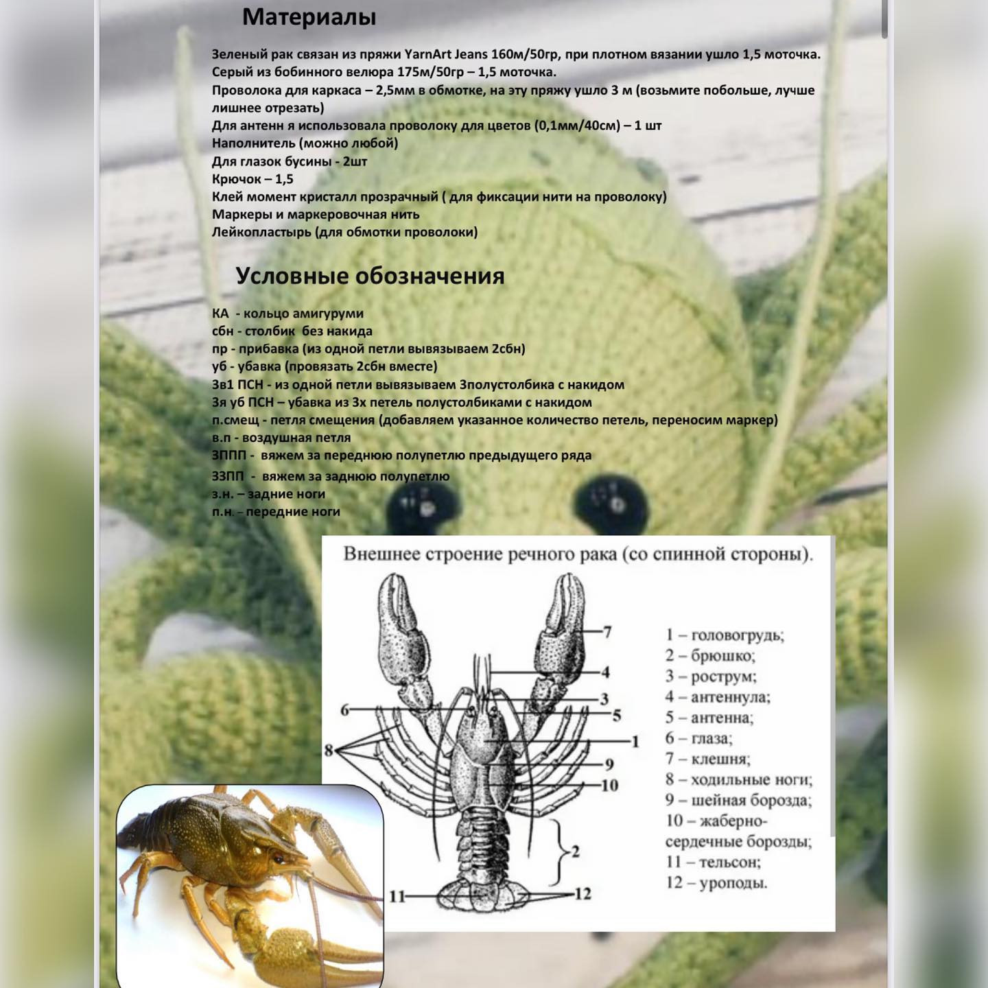 Схема вязания крючком Раки