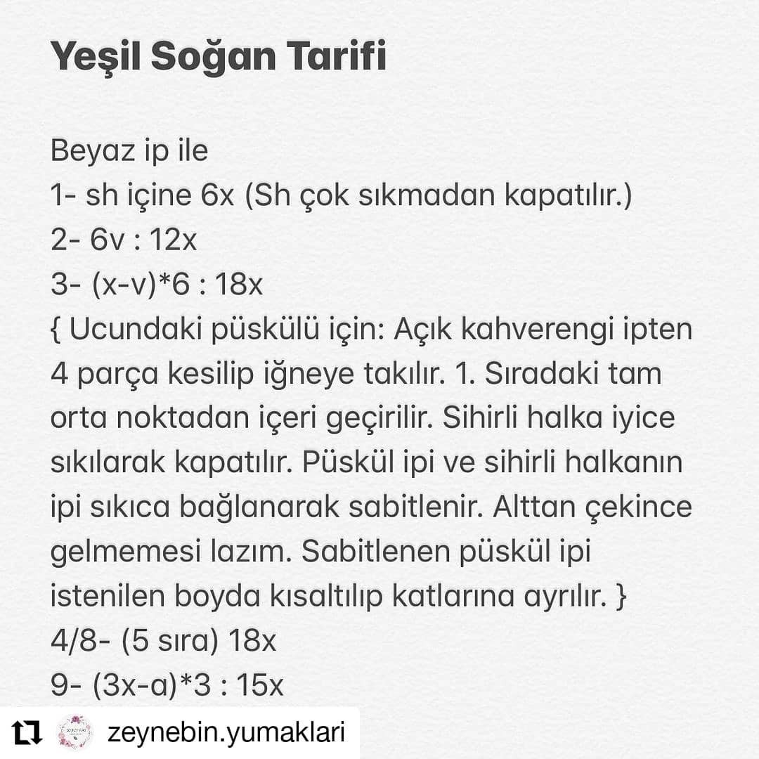 Yeşil soğan tığ işi tarifi