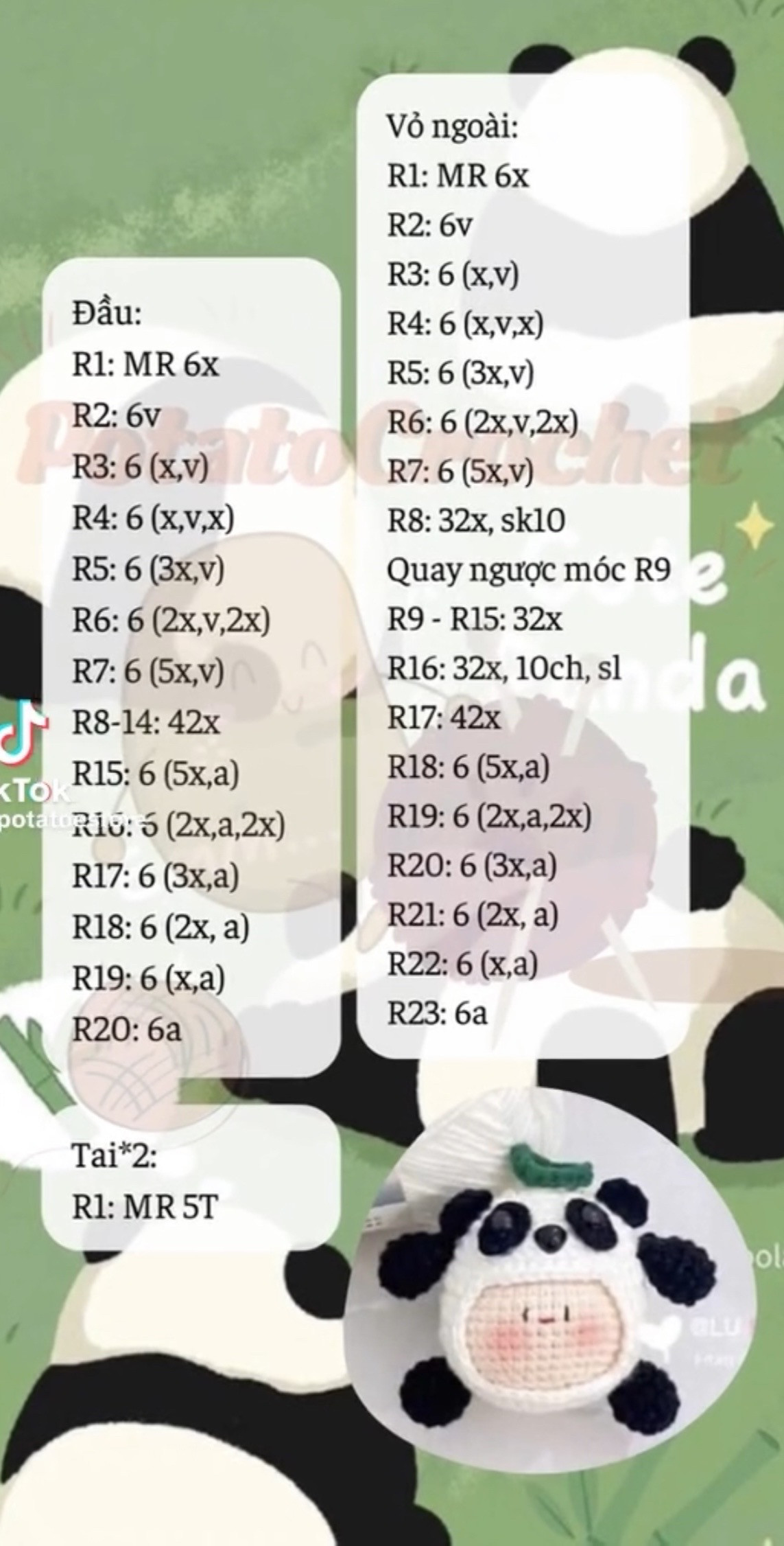 chart bé gấu trúc bánh bao