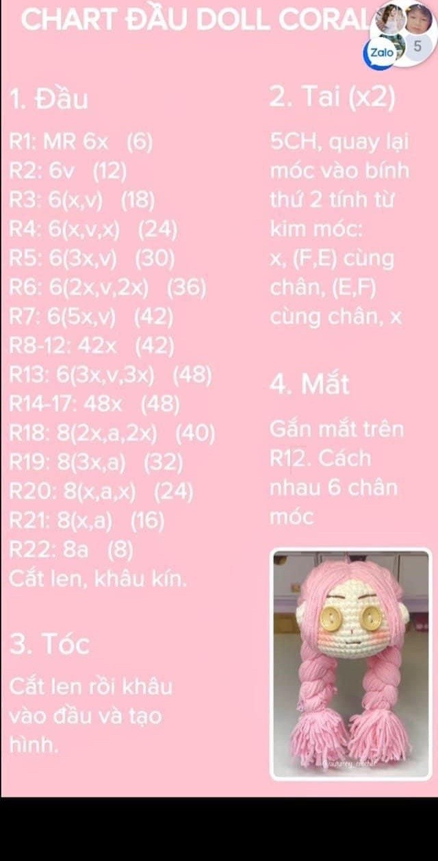 chart đầu doll coral