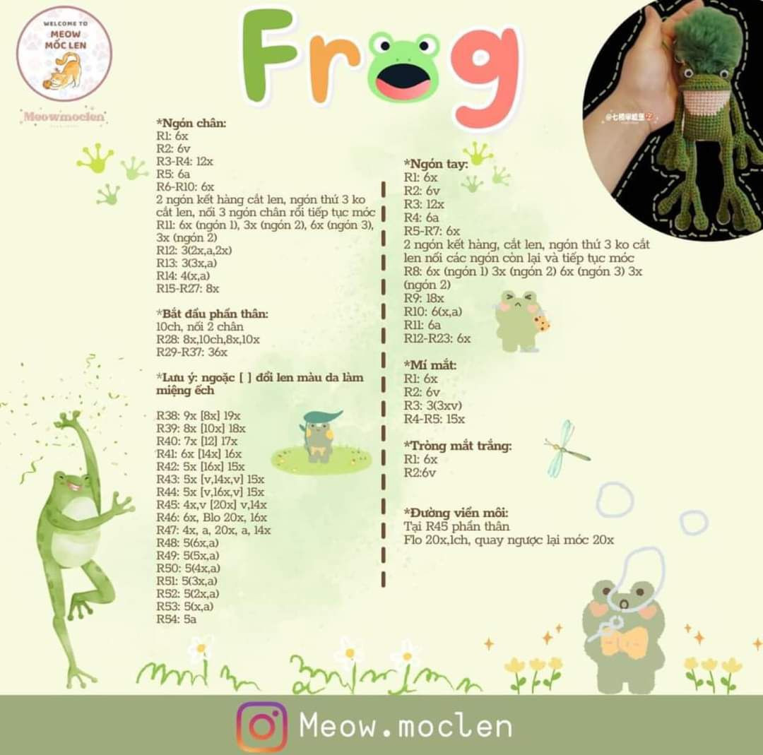 Chart ếch chân cao frog