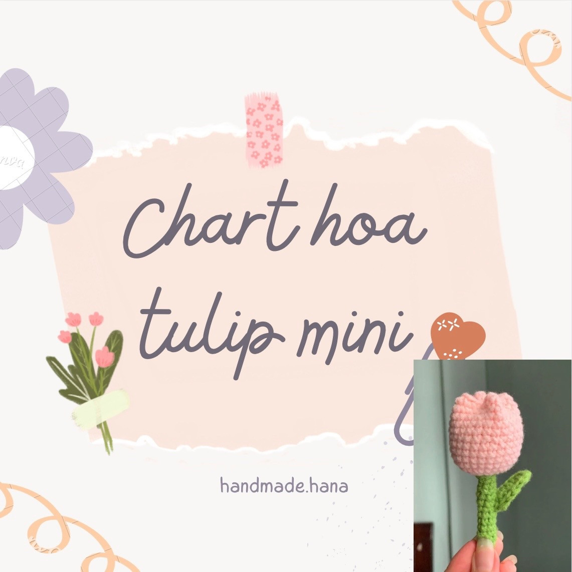 chart hoa tulip mini