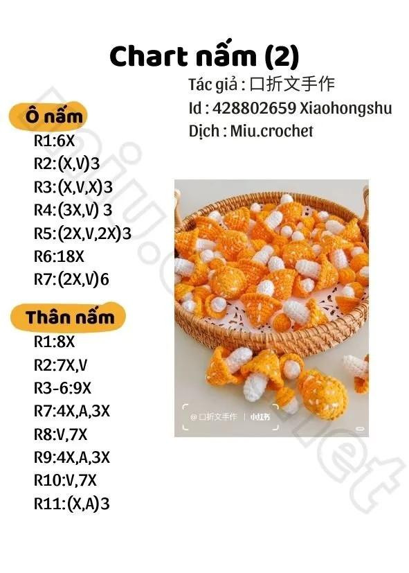 chart hướng dẫn móc nấm