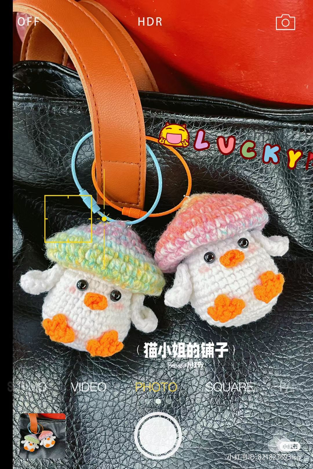 Crochet duck and mushroom keychain pattern