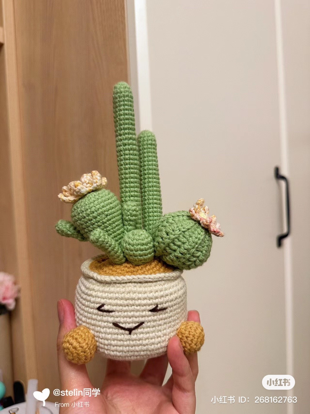 Potted cactus crochet pattern (five strands)