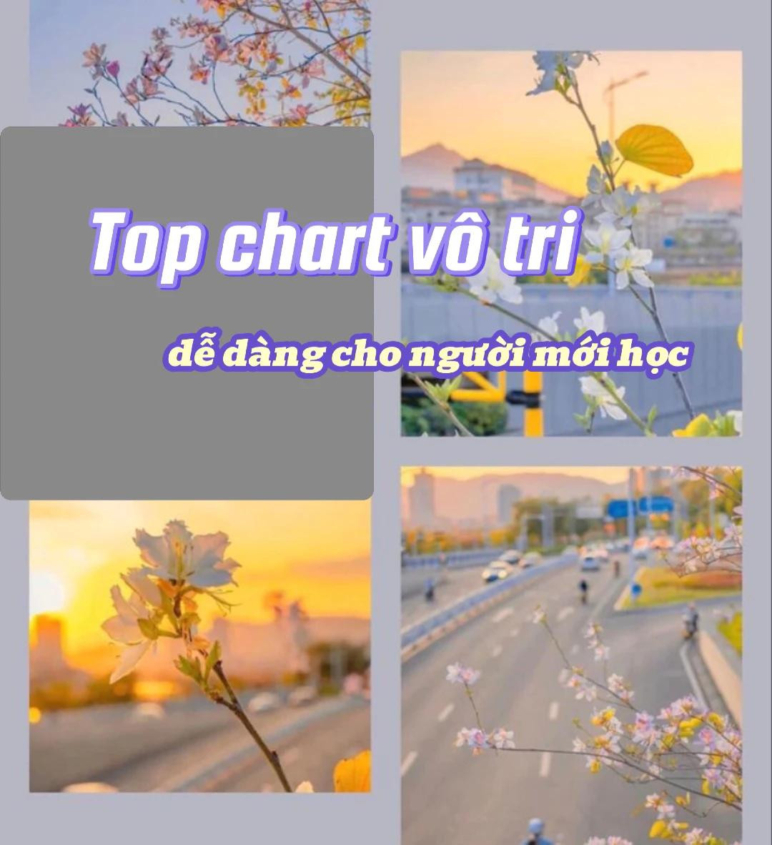 Top chart vô chi cho người mới học. Money, Chart búp bê cầu nắng. cake, chart bồ hóng, Hành,