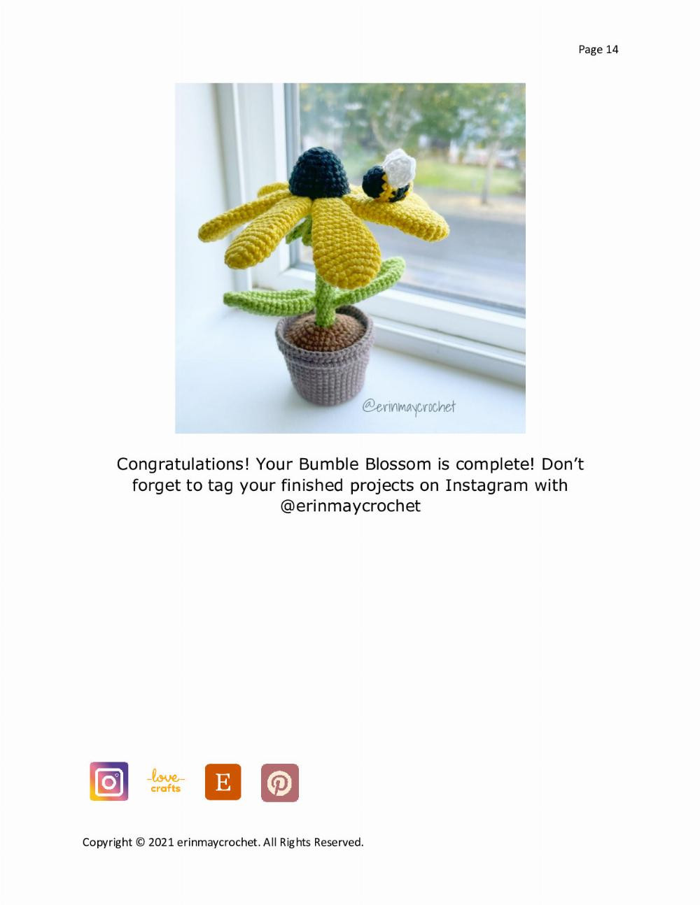 Bumble Blossom Black Eyed Susan A crochet pattern