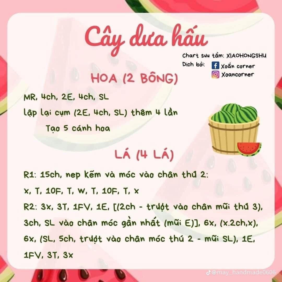 chart cây dưa hấu size nhỏ để bàn