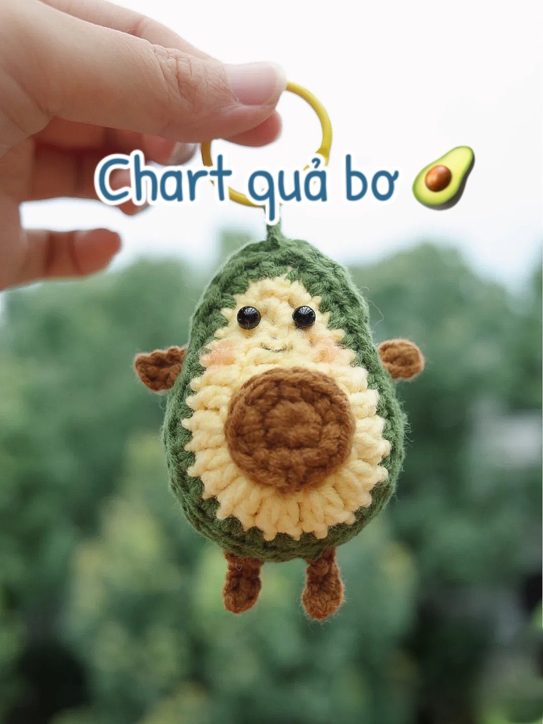 Chart móc quả bơ