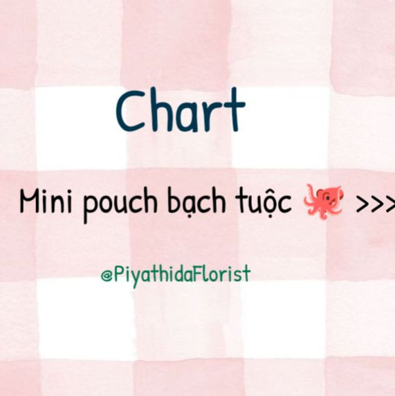 Chart móc túi rút bạch tuộc