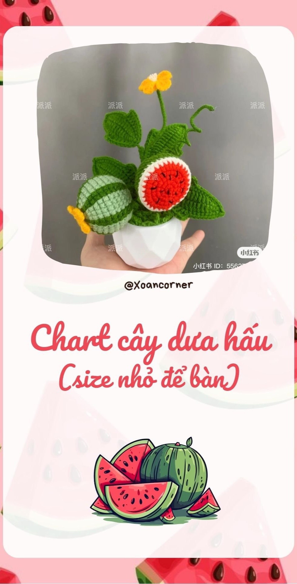 Hướng dẫn móc cây dư hấu