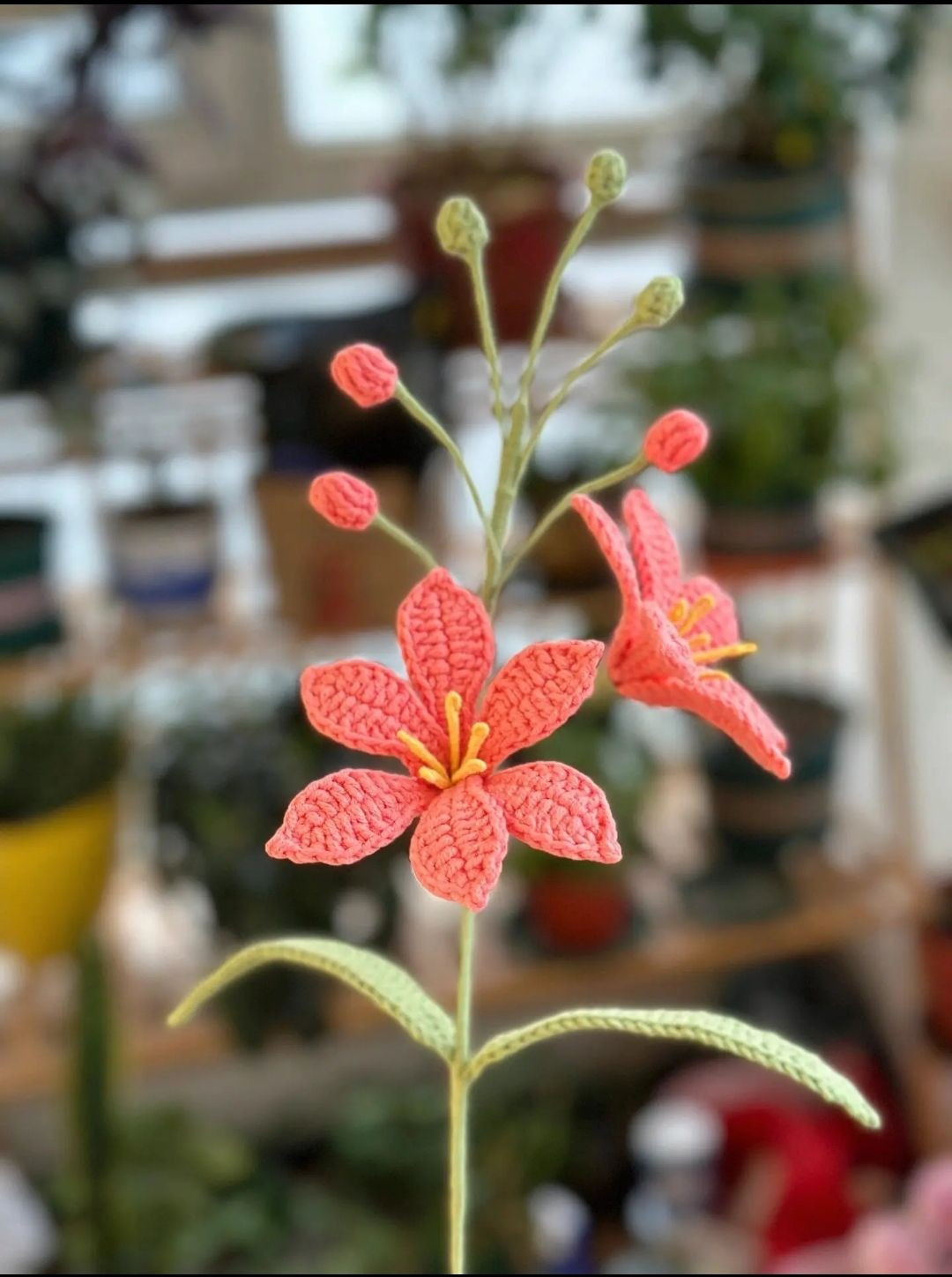 Hướng dẫn móc hoa lan hỏa tinh (mars orchid)