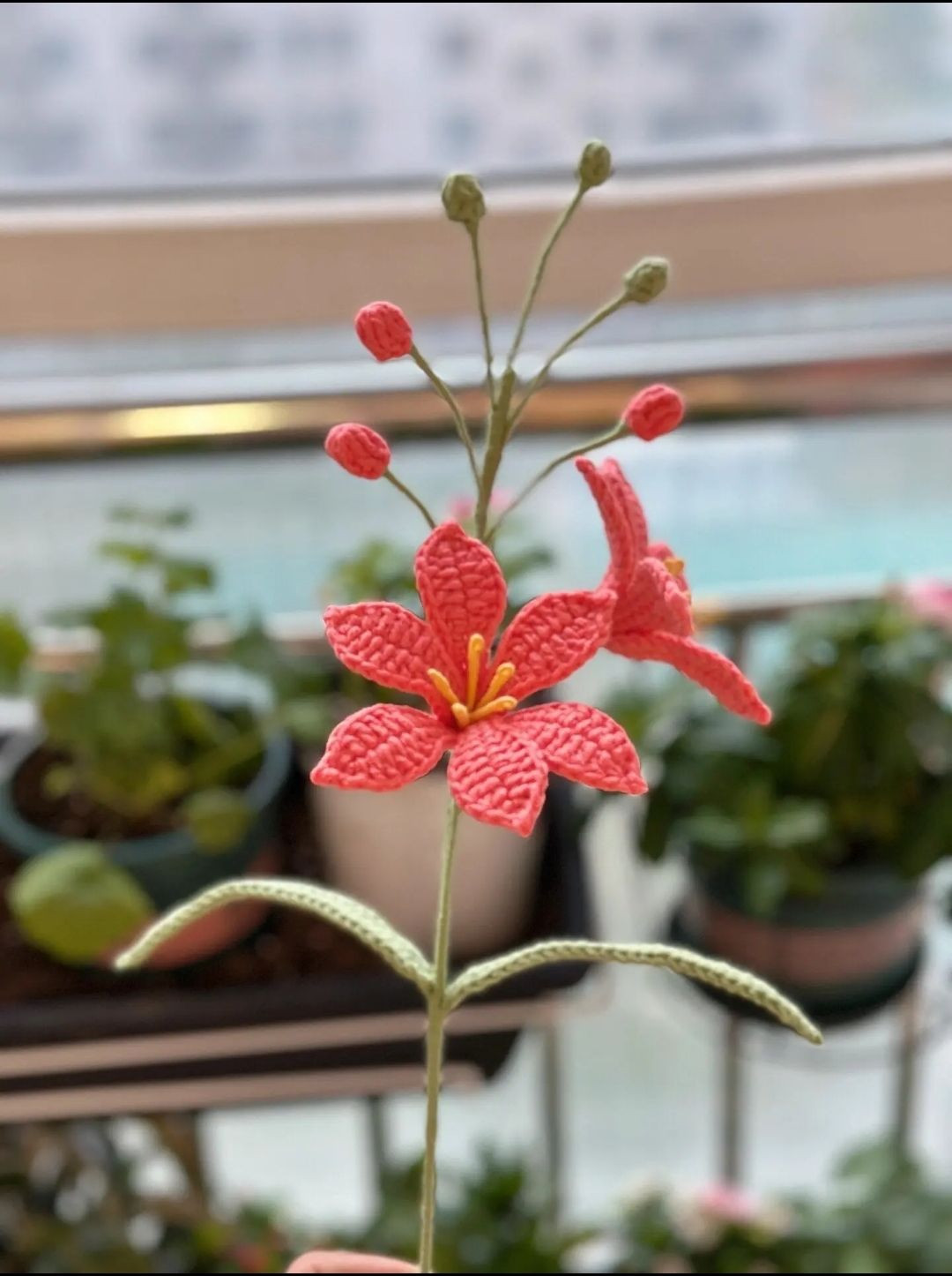 Hướng dẫn móc hoa lan hỏa tinh (mars orchid)