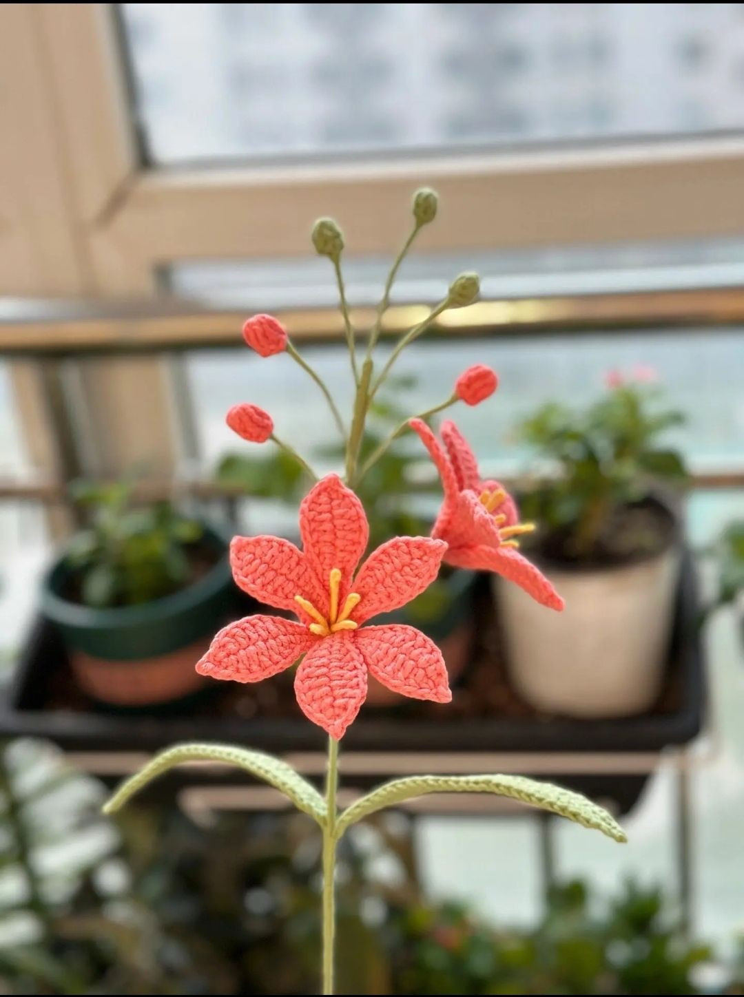 Hướng dẫn móc hoa lan hỏa tinh (mars orchid)