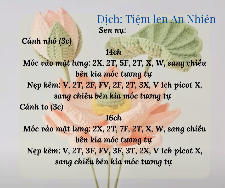 Hướng dẫn móc hoa sen gồm hoa, nhụy hoa, lá, búp...