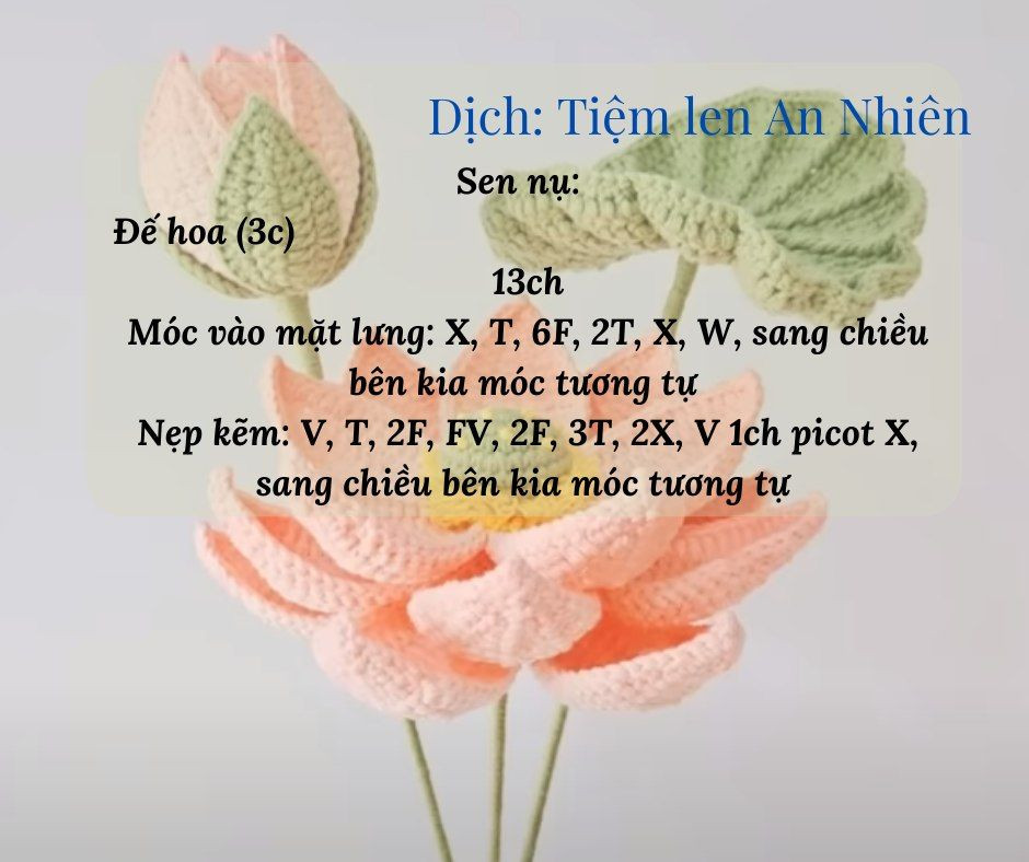 Hướng dẫn móc hoa sen gồm hoa, nhụy hoa, lá, búp...