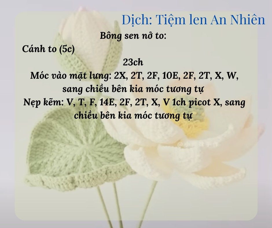 Hướng dẫn móc hoa sen gồm hoa, nhụy hoa, lá, búp...