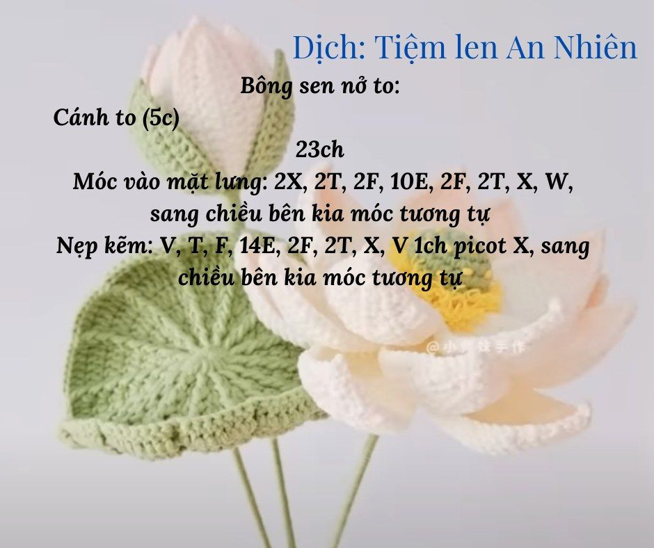 Hướng dẫn móc hoa sen gồm hoa, nhụy hoa, lá, búp...