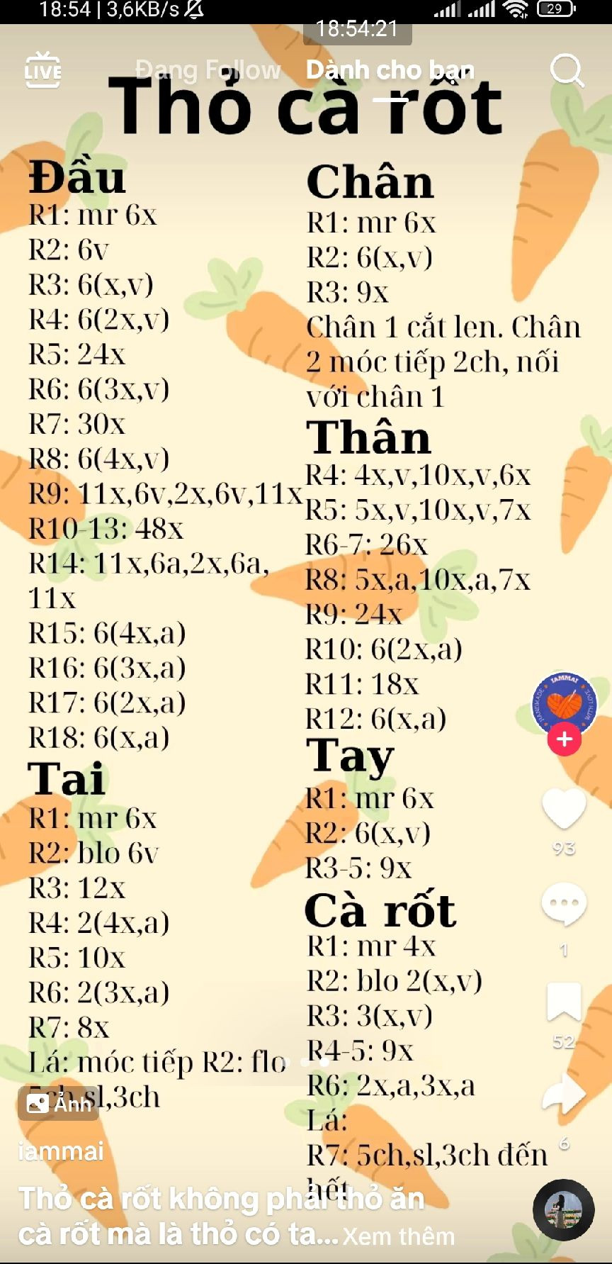 Hướng dẫn móc thỏ cà rốt