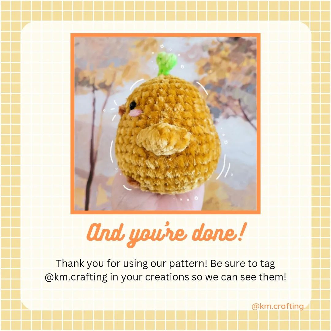 spring chick with sprout free pattern