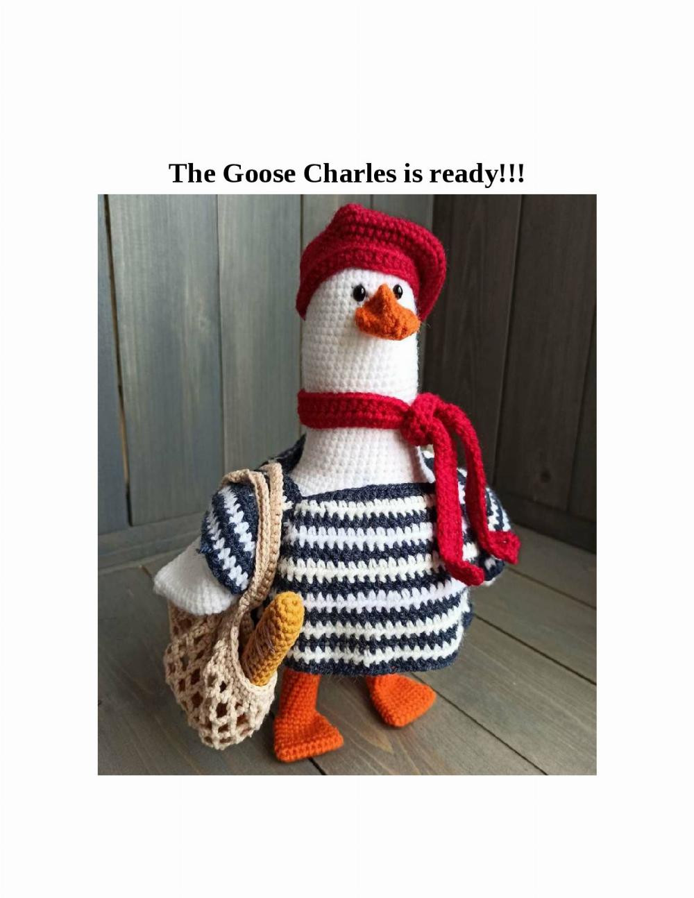 The Goose Charles A very detailed Amigurumi knitting pattern