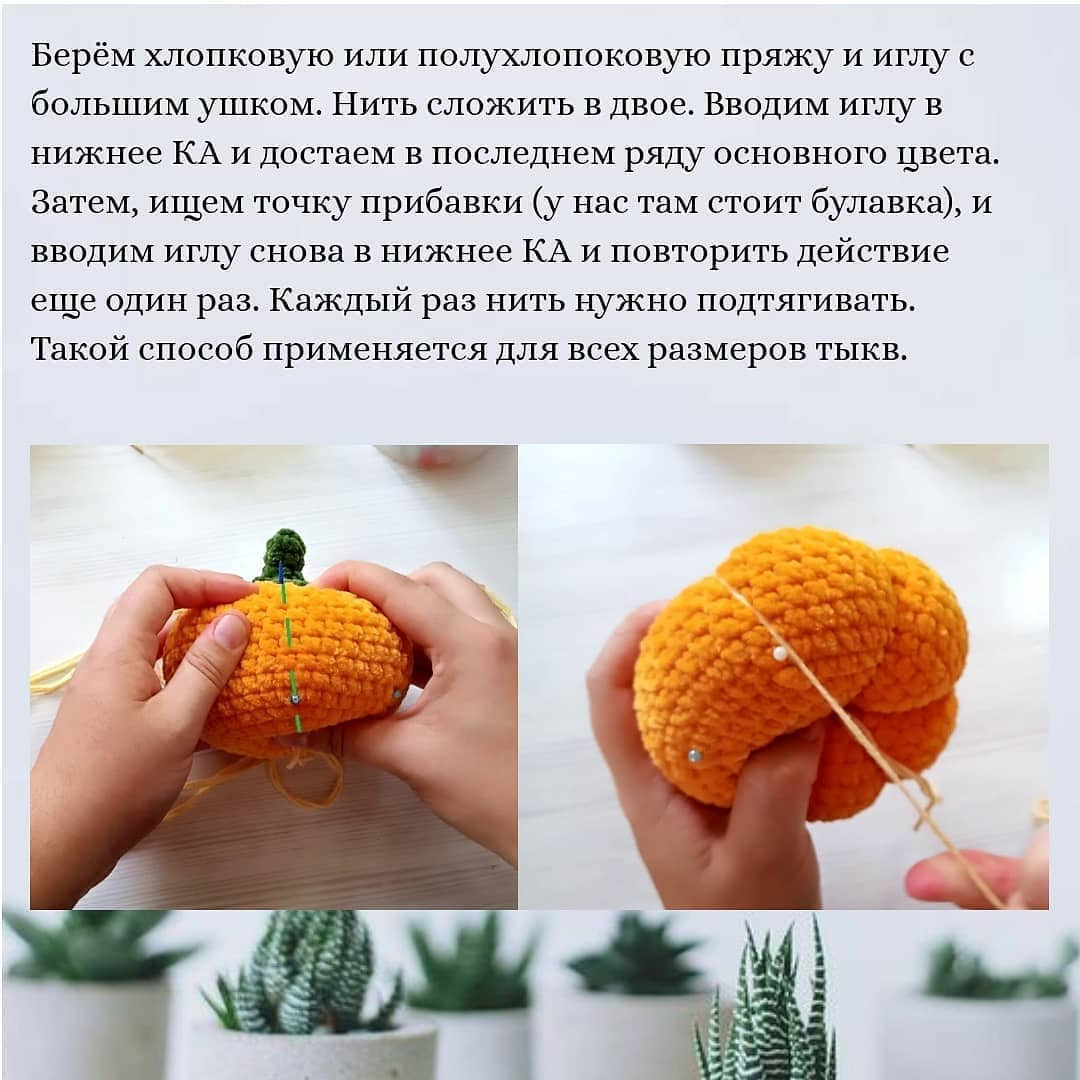 БЕСПЛАТНОЕ ОПИСАНИЕ тыкв 🎃