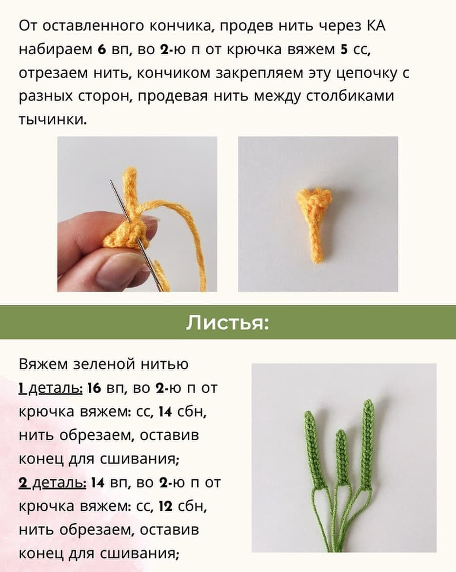 Инструкция по вязанию куркумы из шерсти крючком. Описание крокуса🌱