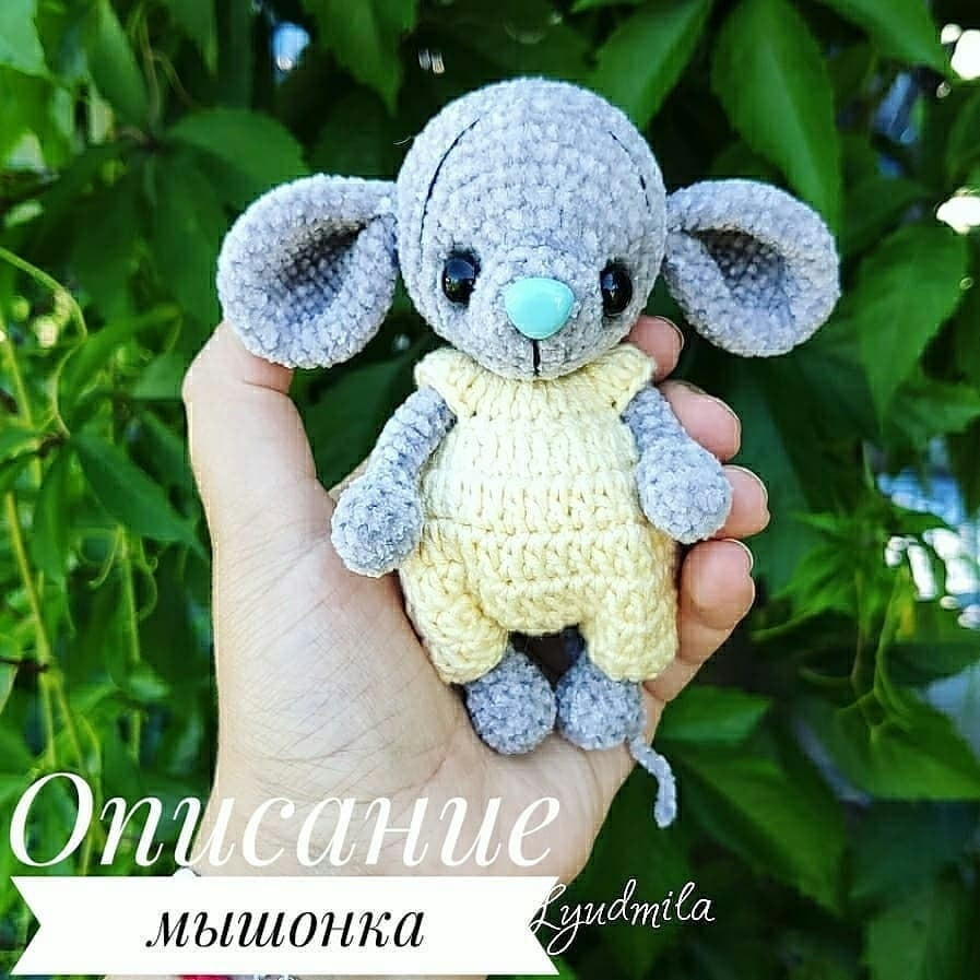 Описание мышонка🐭