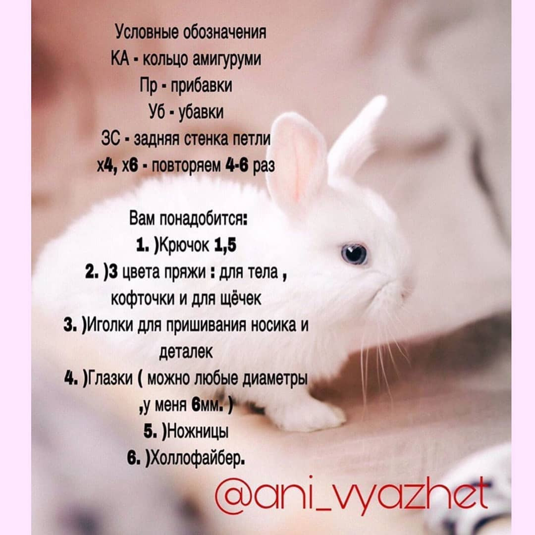 Описание зайки 🐰