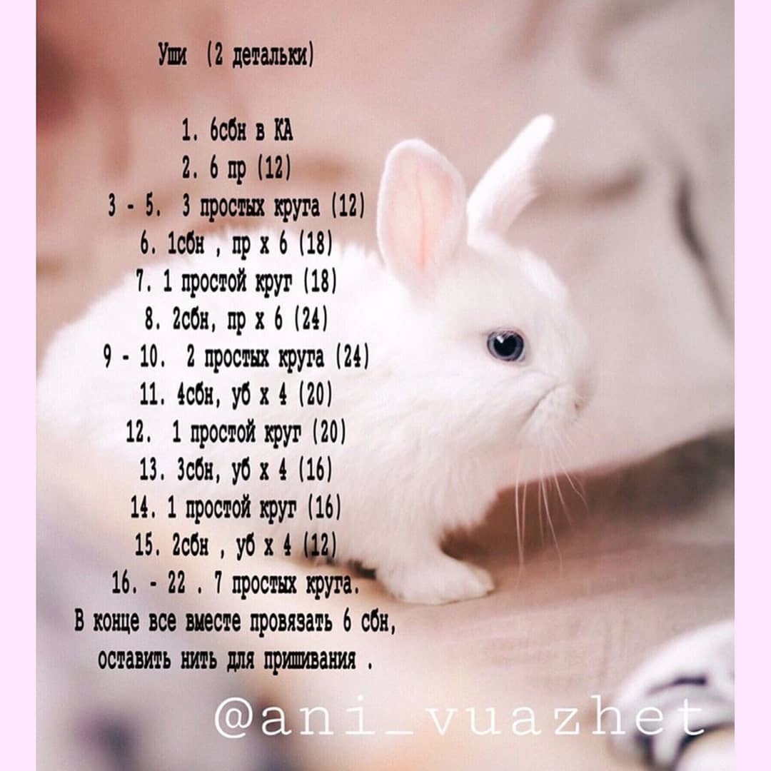 Описание зайки 🐰