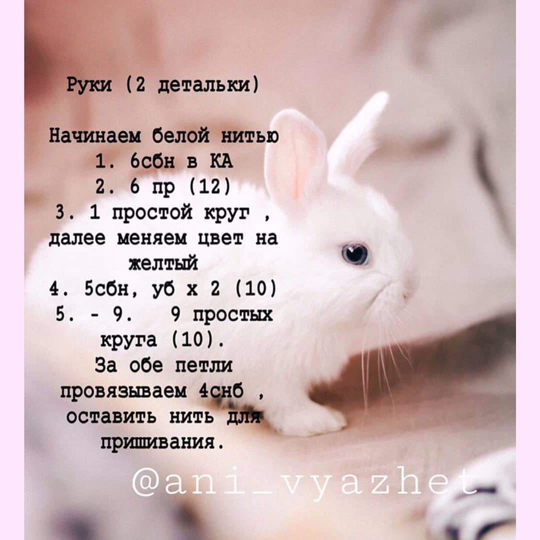 Описание зайки 🐰