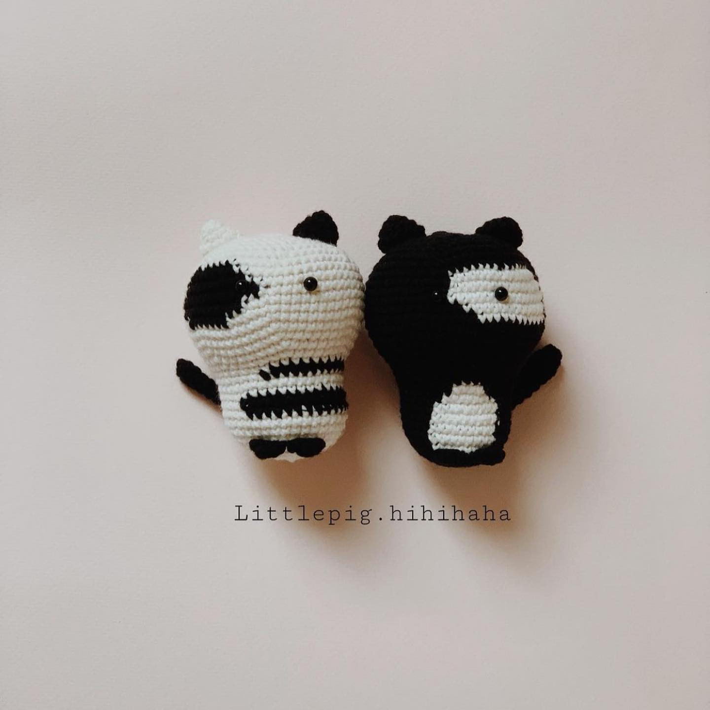 white and black cat free pattern