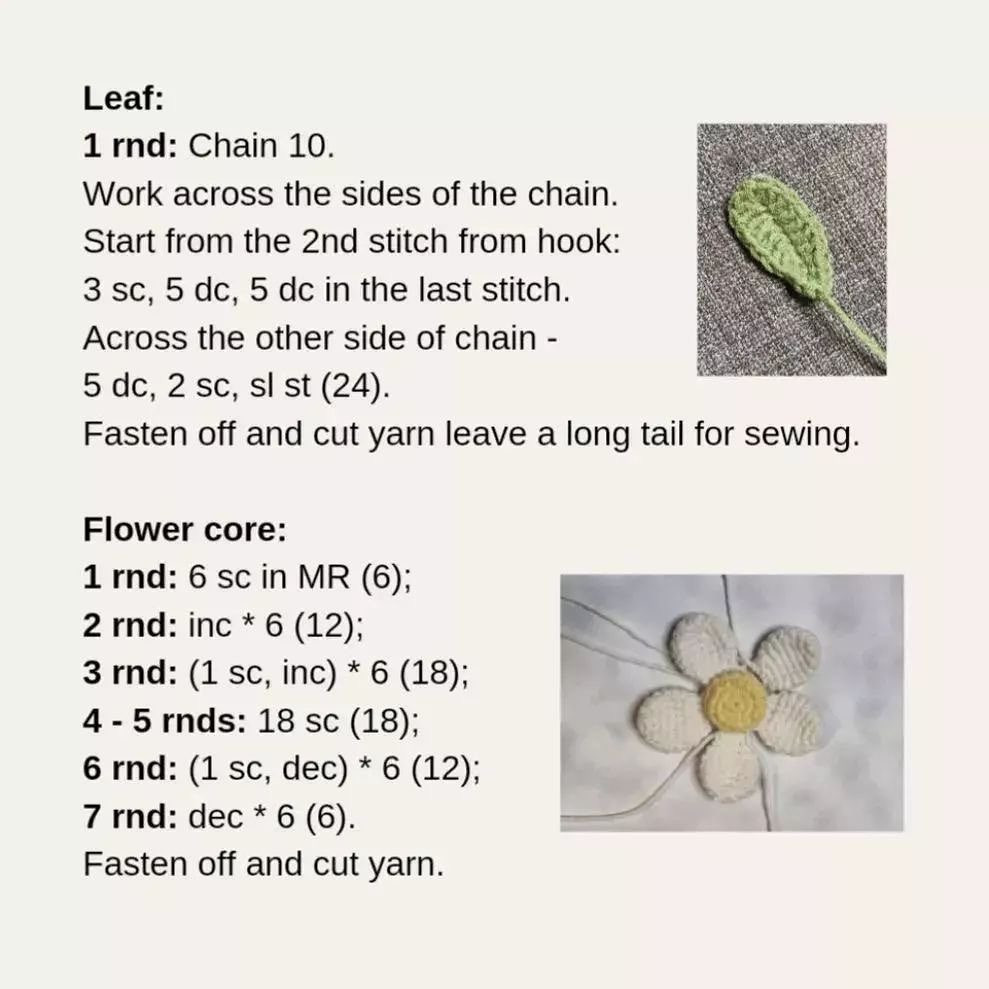 White five-petal flower crochet pattern