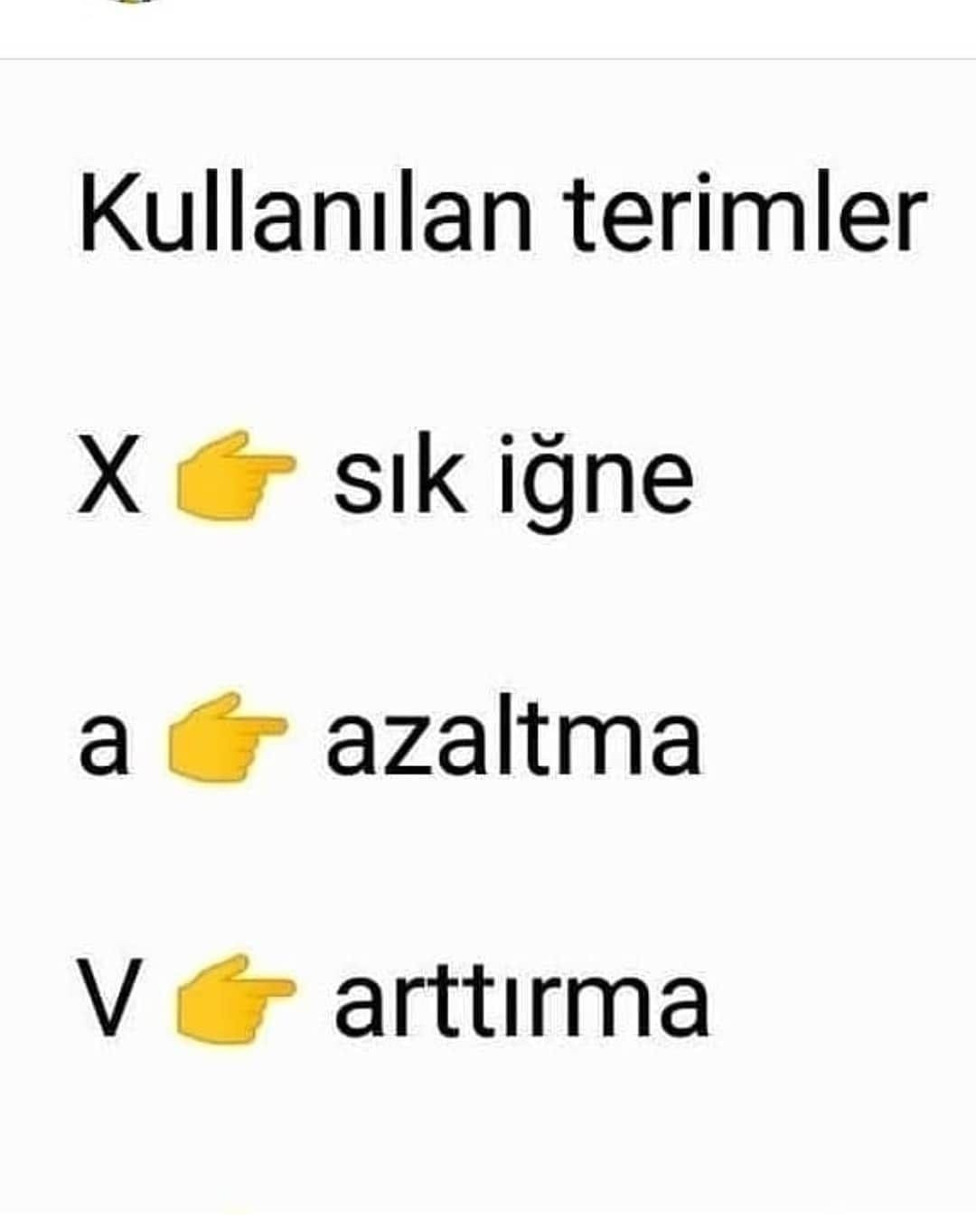 Kaplumbağa ve karpuz tığ işi modeli