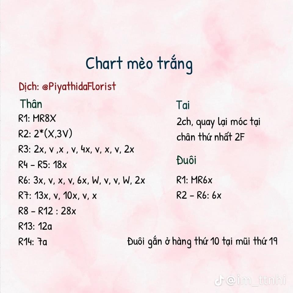 chart mèo trắng