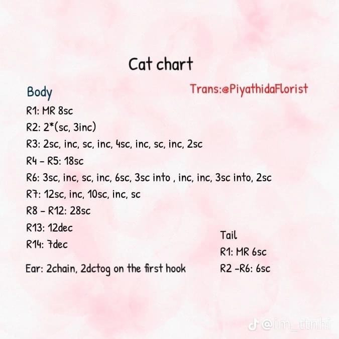 chart mèo trắng