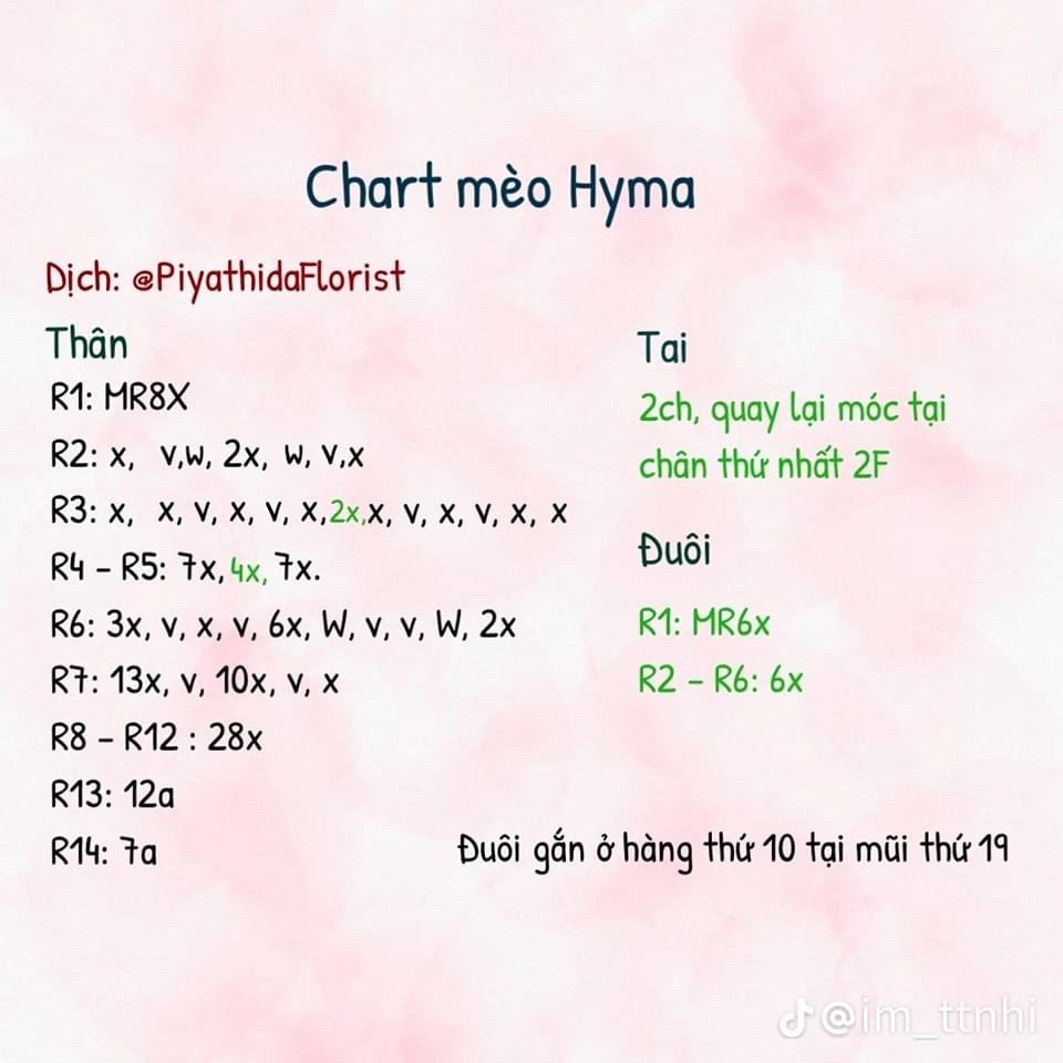 chart mèo trắng