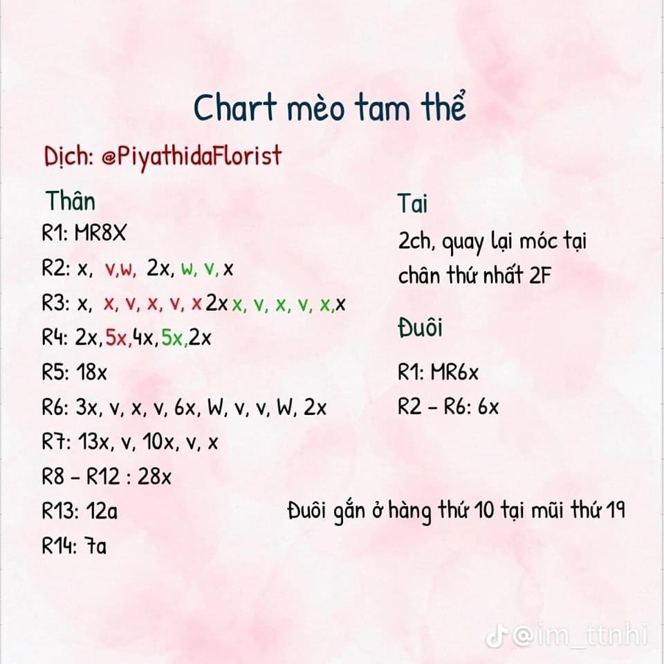 chart mèo trắng