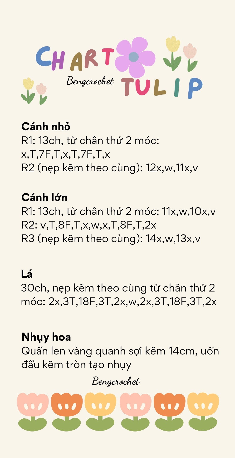 Chart móc hoa tuilip cánh nhỏ cánh lớn