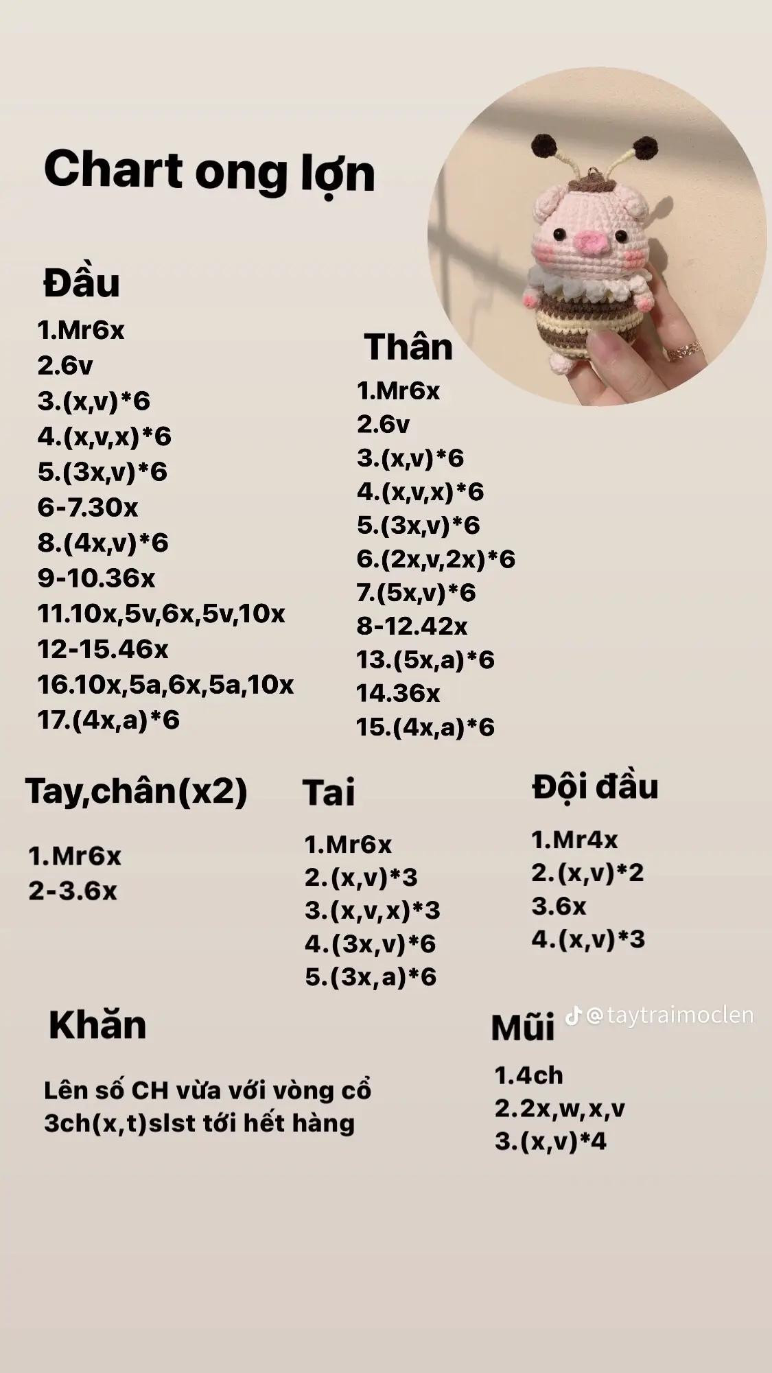 chart ong lợn