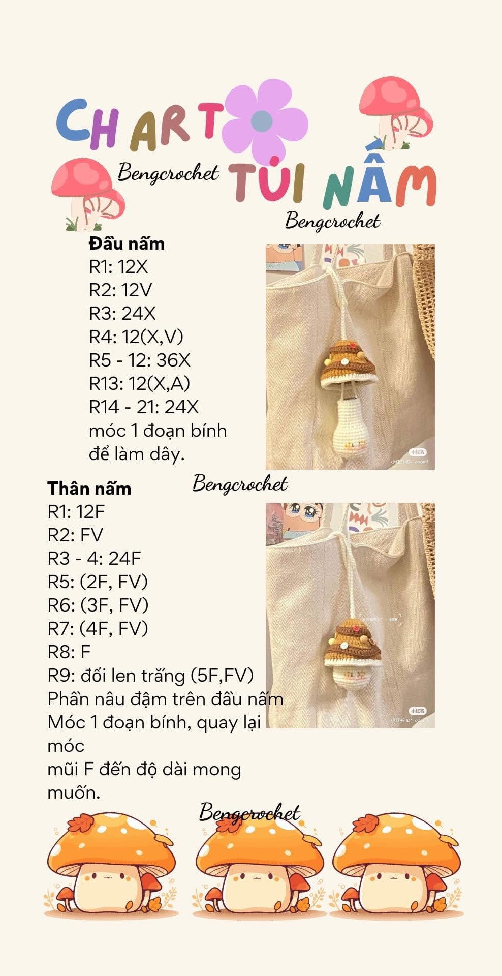 Chart túi nấm