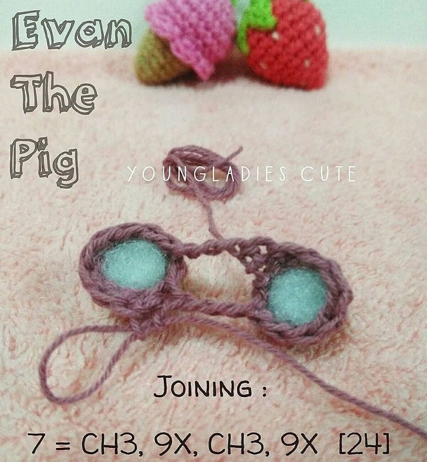 evan the pig pattern