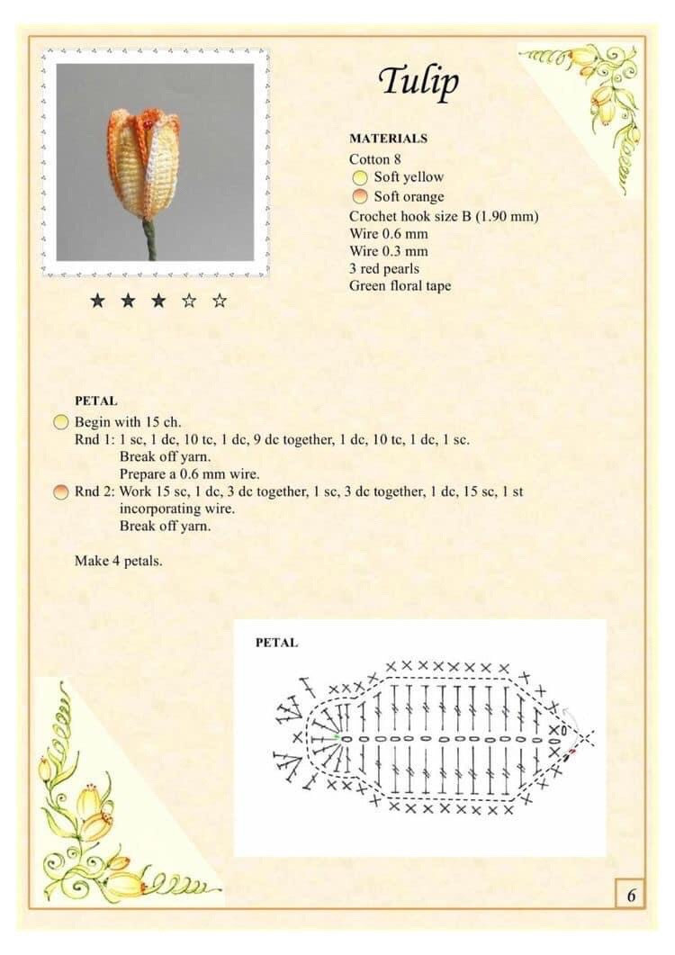 camomile, crocus,  tulip, flower