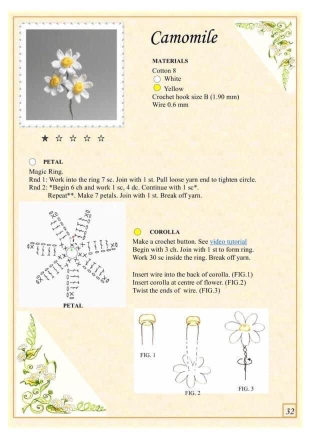 camomile, crocus,  tulip, flower