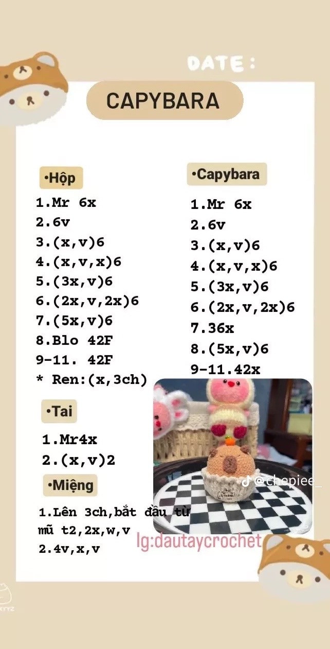 capybara bé tròn