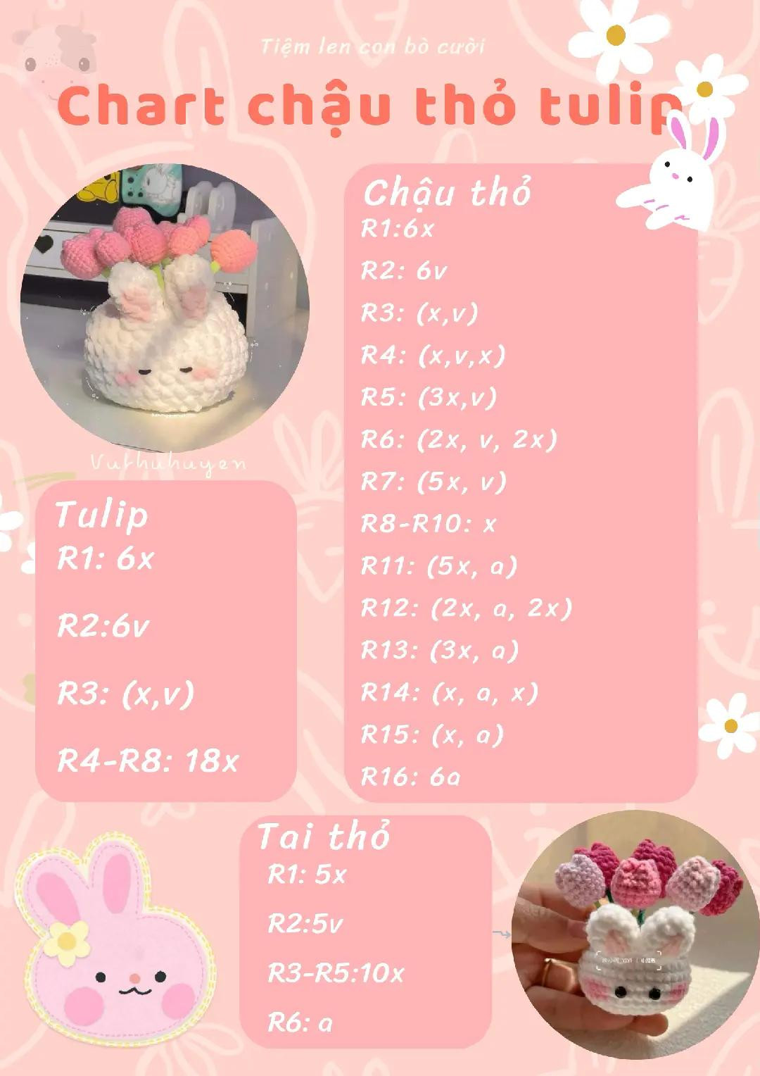 Chart chậu thỏ tulip