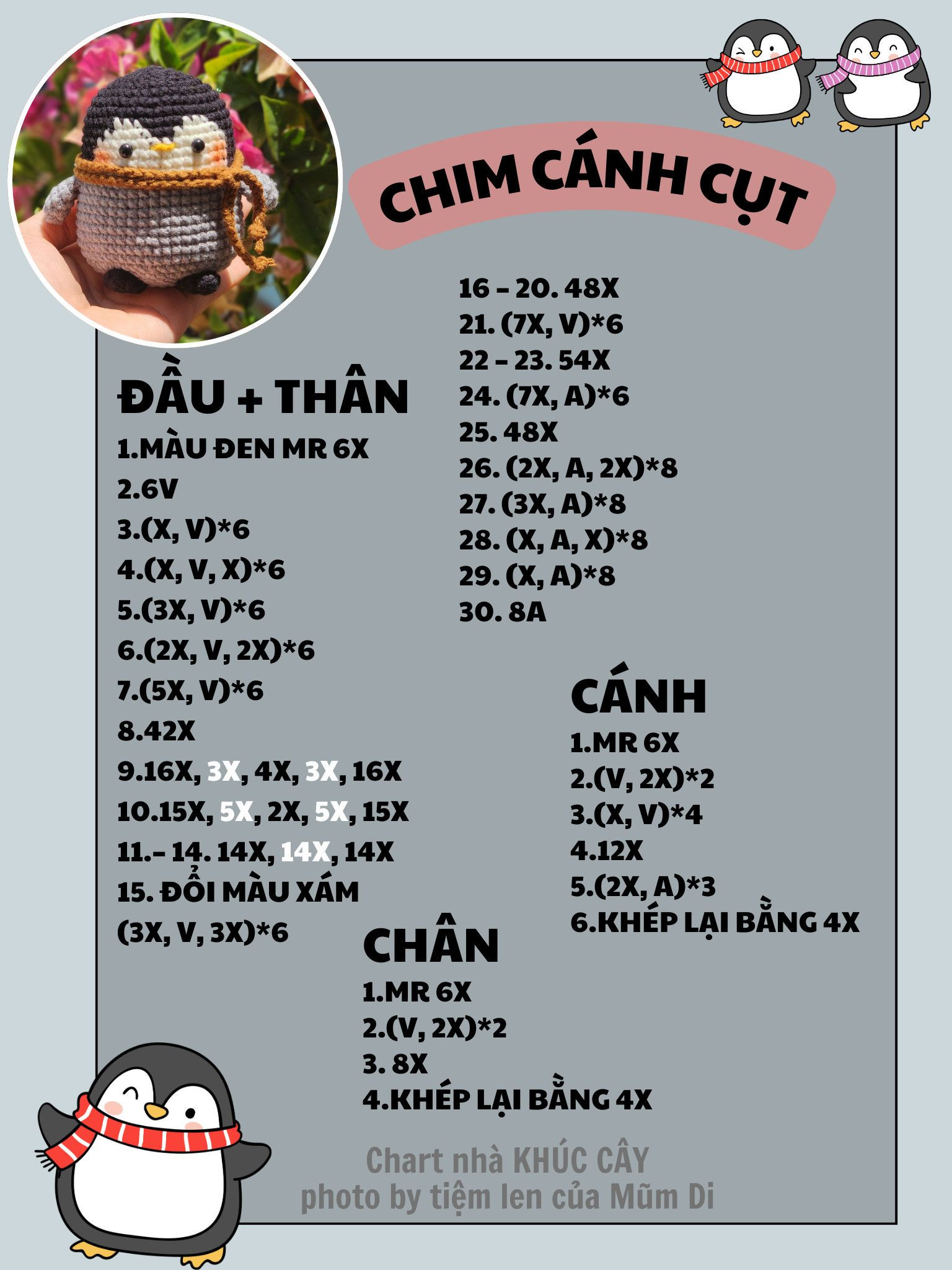 Chart móc chim cánh cụt quấn khăn