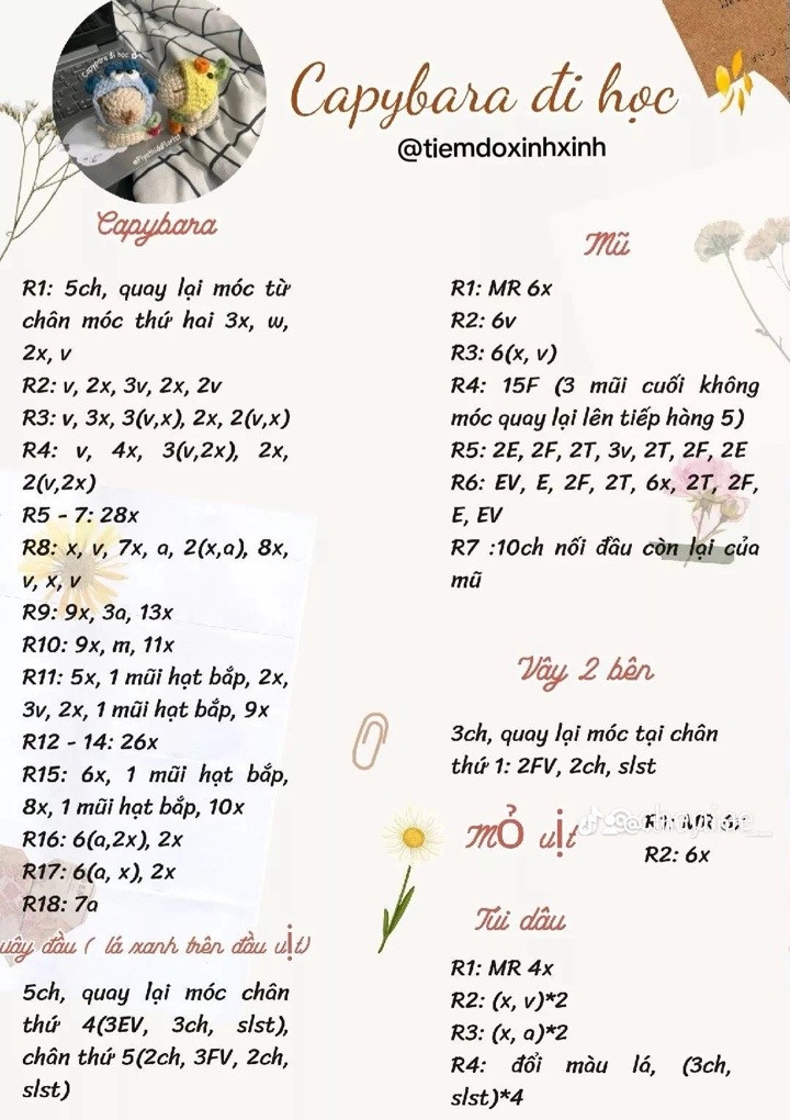 chart móc ong mini, thỏ và hoa, capybara đi học