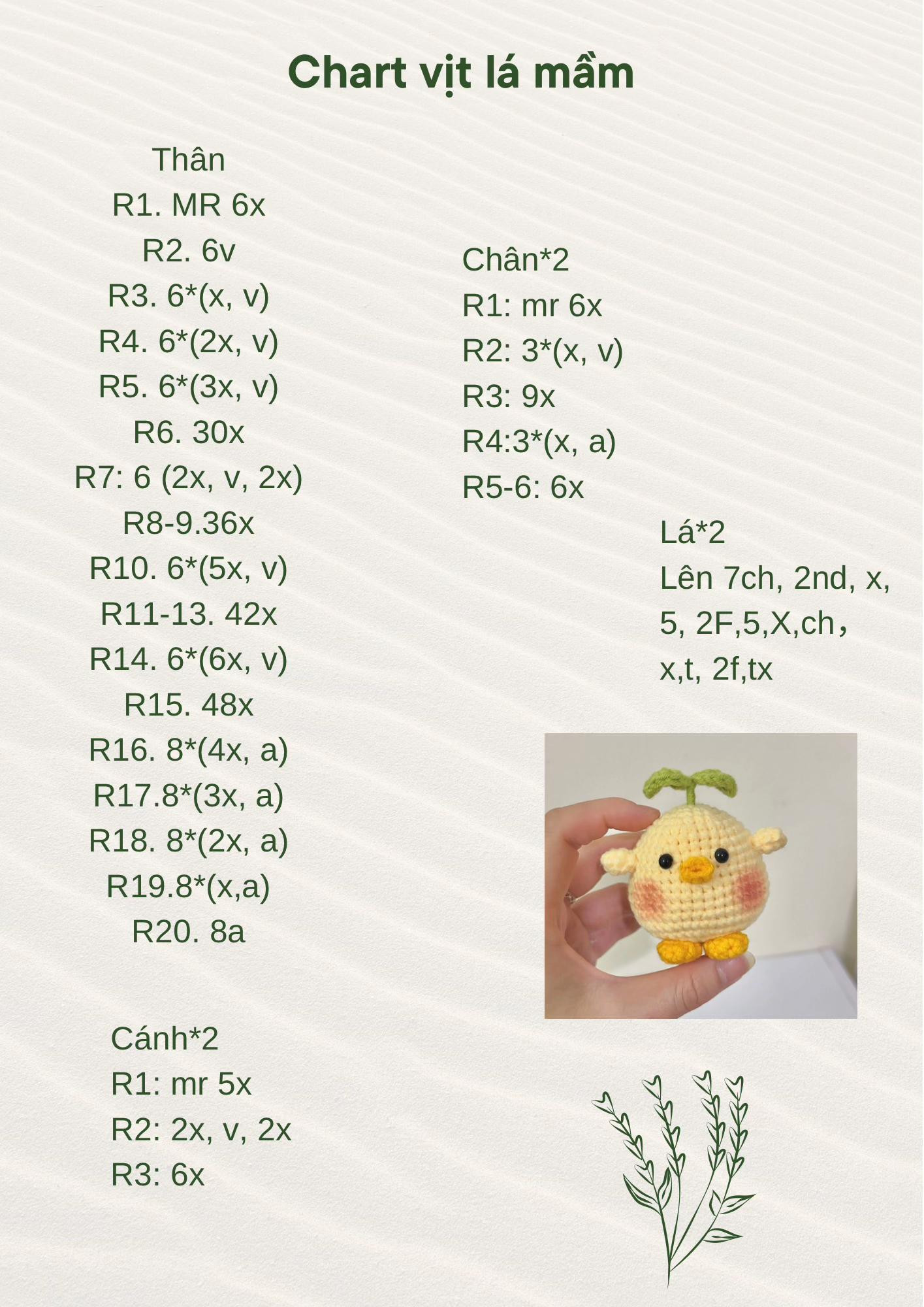 Chart móc vịt lá mầm