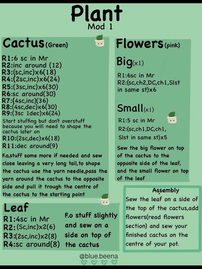 free cactus plant with pot